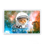 котейка космонавт