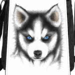 Сибирский хаски Siberian husky