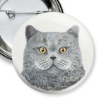 Британский кот