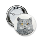 Британский кот