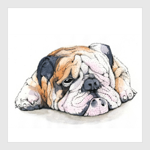 Постер с принтом Dog