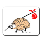  Мозг уходит