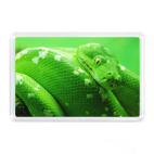 Магнит 7,5 x 5,1 см Год змеи