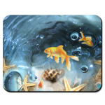 золотая рыбка