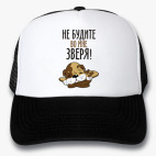 Кепки Trucker
