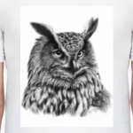 Совы. Совушки. Owl. Owls.
