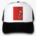 Кепки Trucker