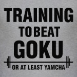 Training to beat Goku