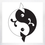  'Инь-ян киты'