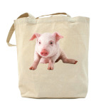 Холщовая сумка