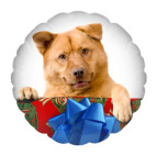 Собака с подарком