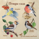 Птицы сада