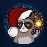 Новогодний грустный кот