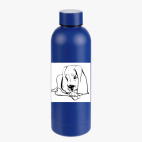 Термобутылка