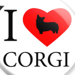 I love Corgi