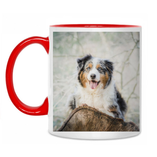 Кружка с принтом Аусси