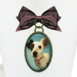 Собака в медальоне