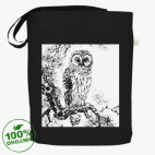 Сова на сосне