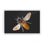 Магнит 7,5 x 5,1 см Пчела / Bee