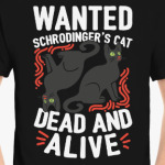 Кот Шрёдингера