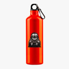 Металлическая бутылка 700 мл UV-DTF