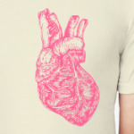 Big Heart Anatomy
