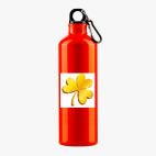 Металлическая бутылка 700 мл UV-DTF