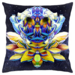 Космическая обезьяна