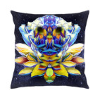 Космическая обезьяна