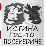 Истина где-то посередине