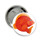 Морской окунь