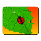 'Божья коровка'