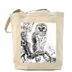 Сова на сосне