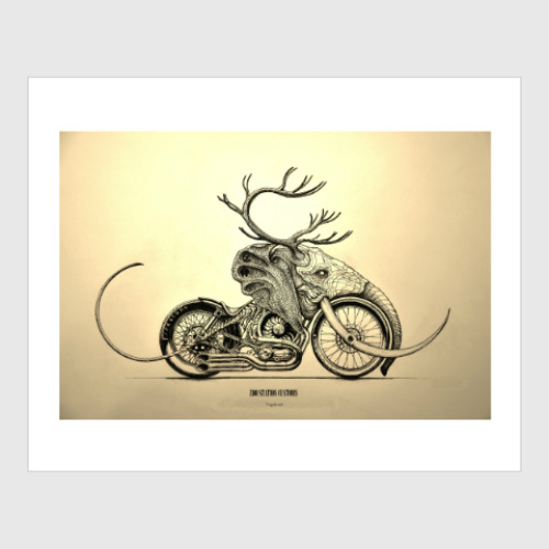 Постер с принтом Vagabond