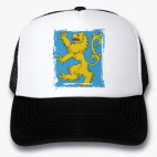 Кепки Trucker
