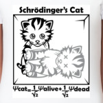 Кот Шрёдингера
