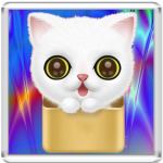 Милый Котенок