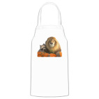 Кухонный фартук