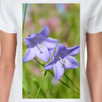 Колокольчики