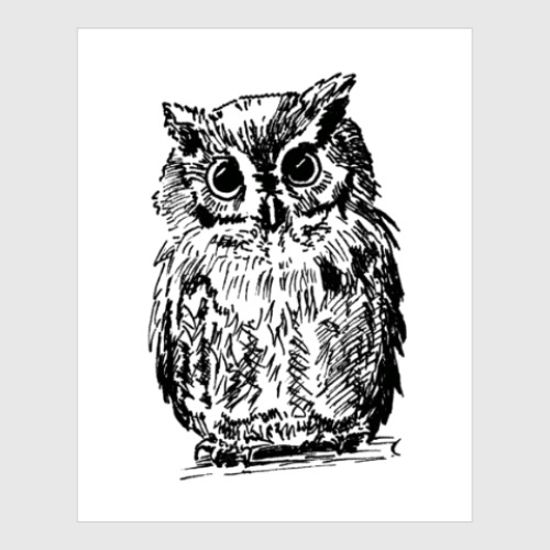 Постер с принтом Сова