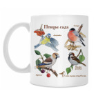 Кружка 330 мл