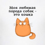 Обожатель кошек