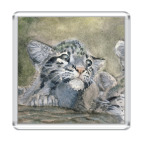 Магнит 6.5 x 6.5 см Малыш