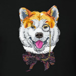 Собака хипстер Акита Ину