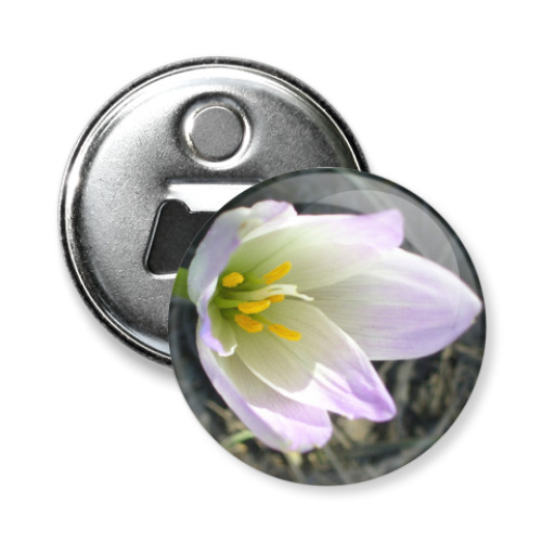 Магнит-открывашка с принтом Зефирантес