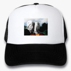 Кепки Trucker