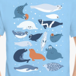 Ластоногие