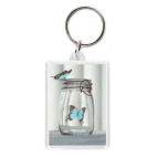 Бабочки в банке