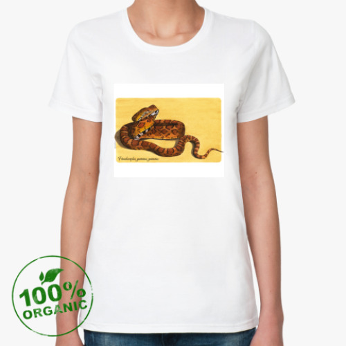 Женская футболка из органик-хлопка с принтом E.guttata