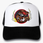 Кепки Trucker